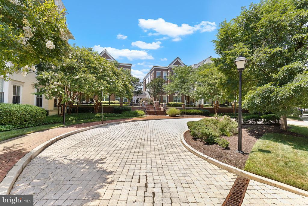 910 POWHATAN STREET Unit: 201N