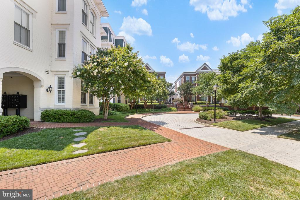 910 POWHATAN STREET Unit: 201N