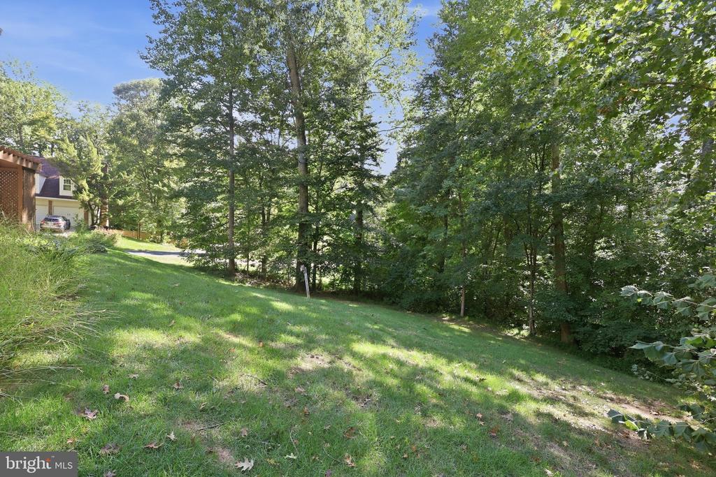 Sloping grassy backyard bordered by mature trees and woodland, with part of the house visible.