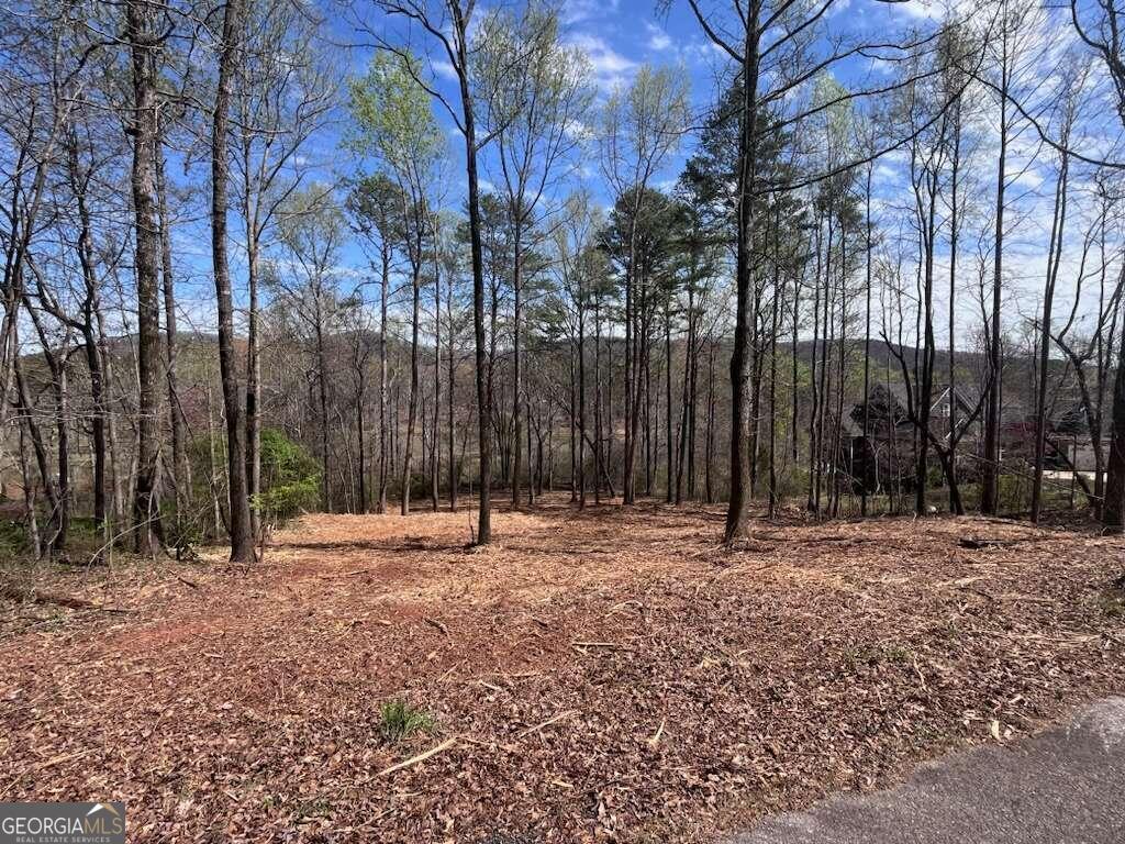 LOT 7 Jonney Thomas Road