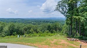 25 Long Mountain Trail