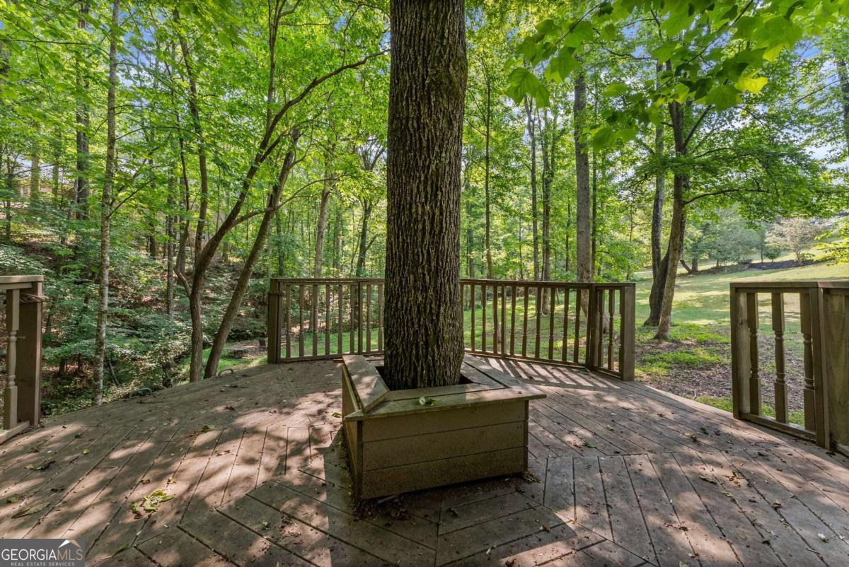 4514 Walking Stick Lane