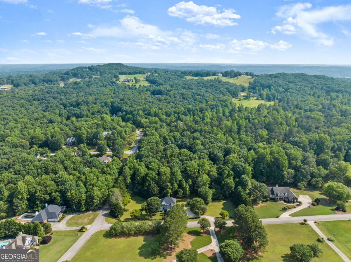 4514 Walking Stick Lane