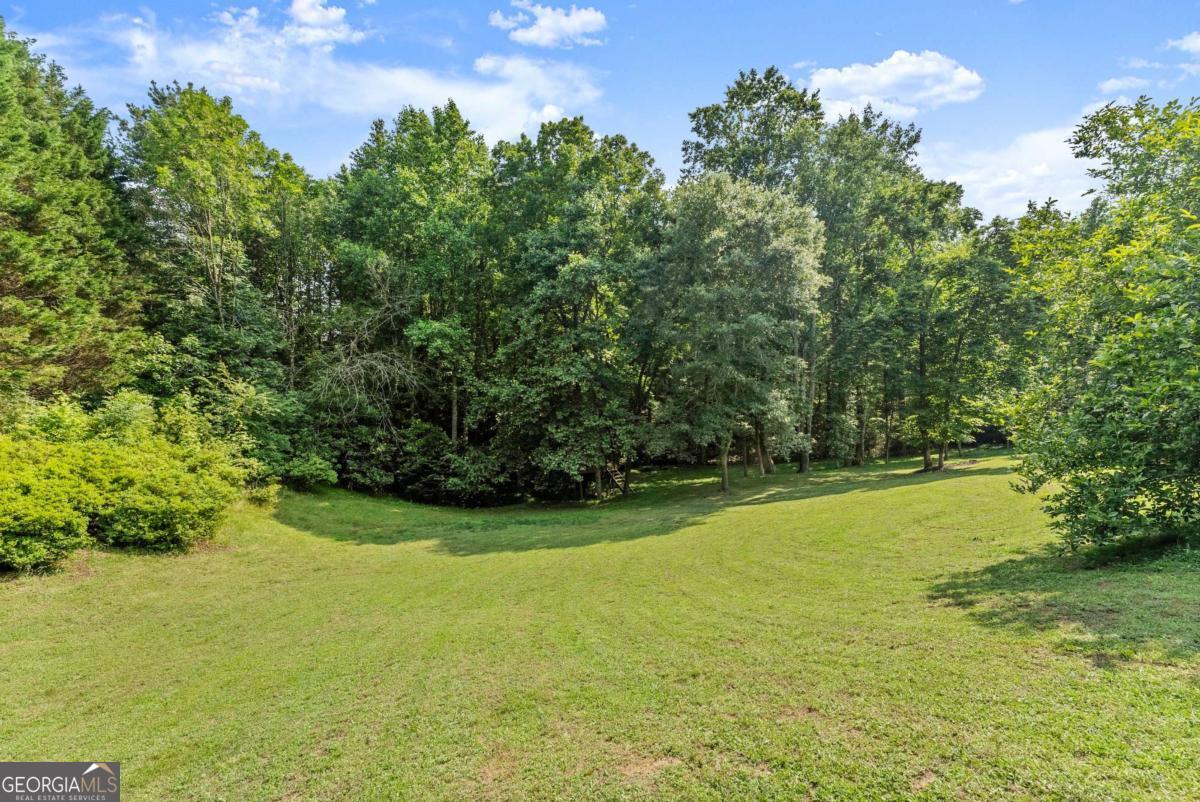 4514 Walking Stick Lane