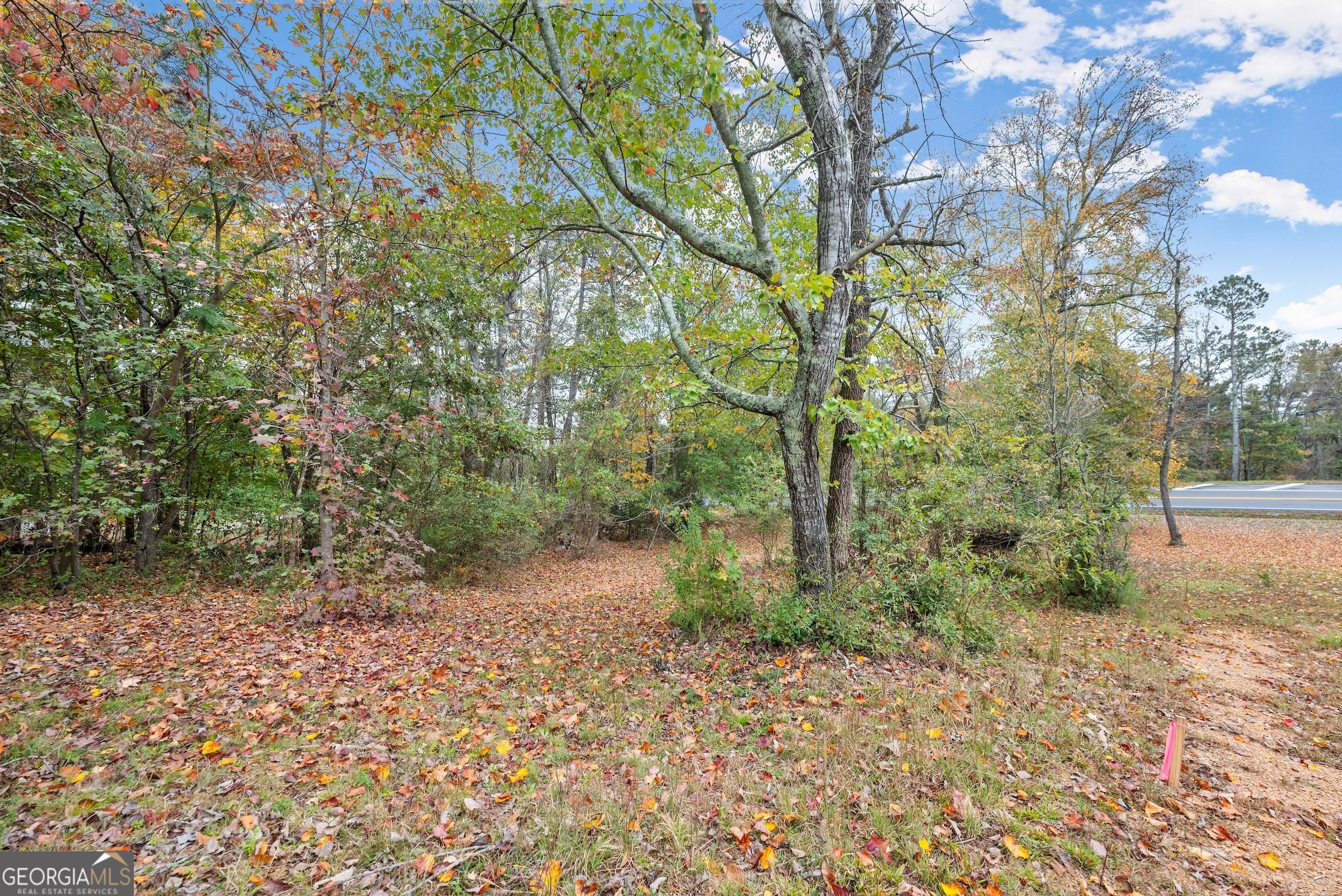 4701A Cleveland Highway # A