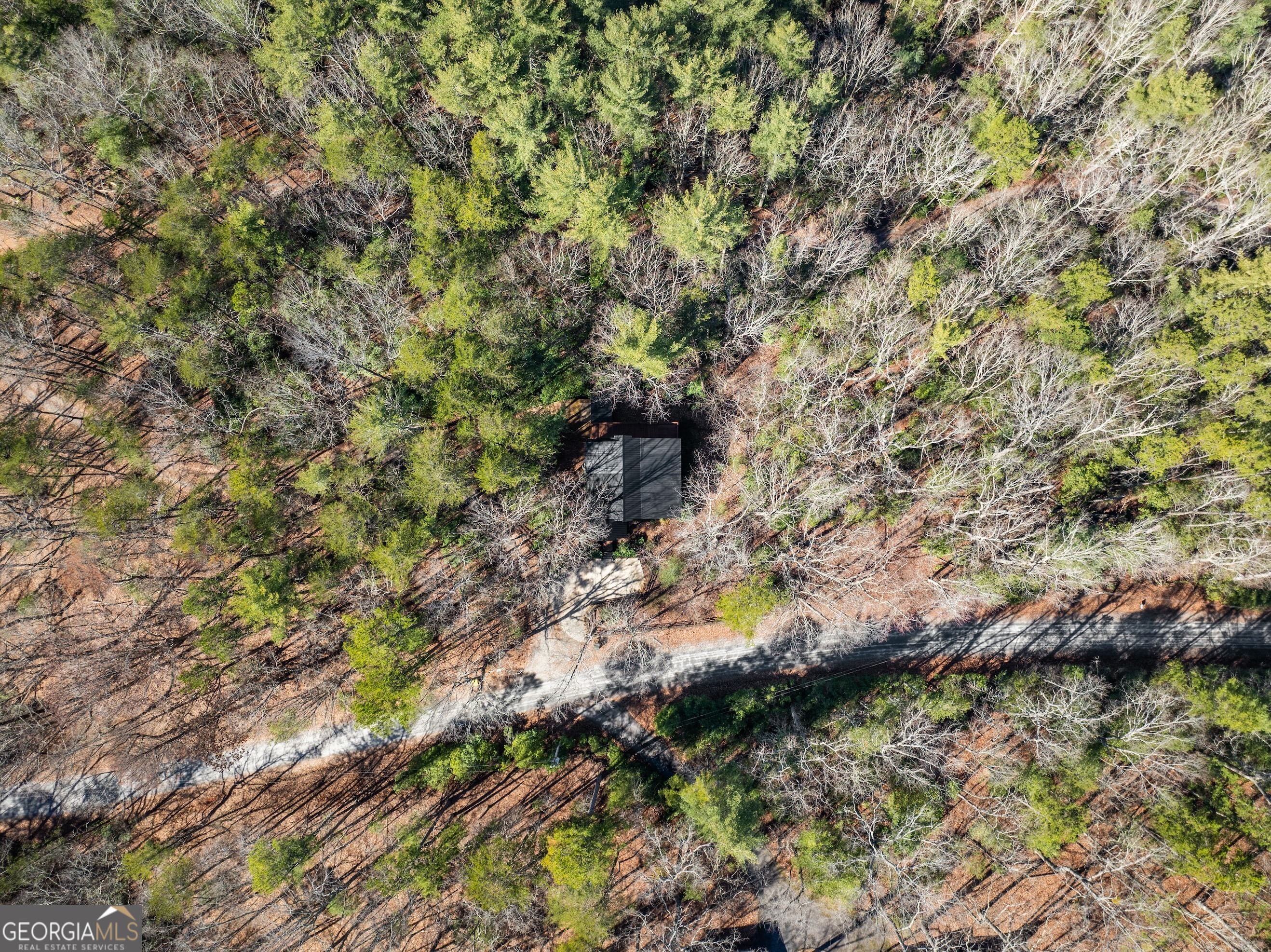 157 Beechwood Drive