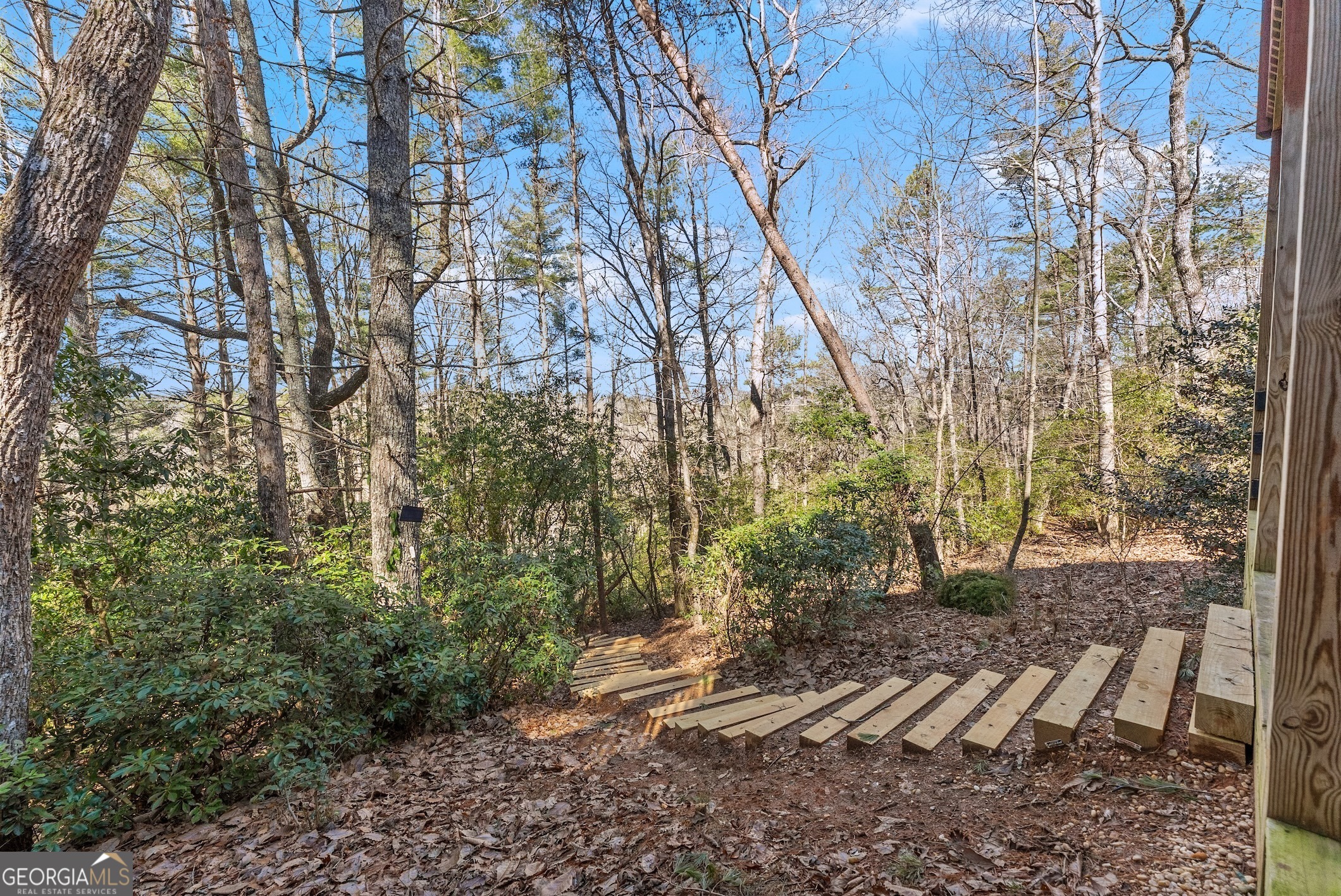 157 Beechwood Drive