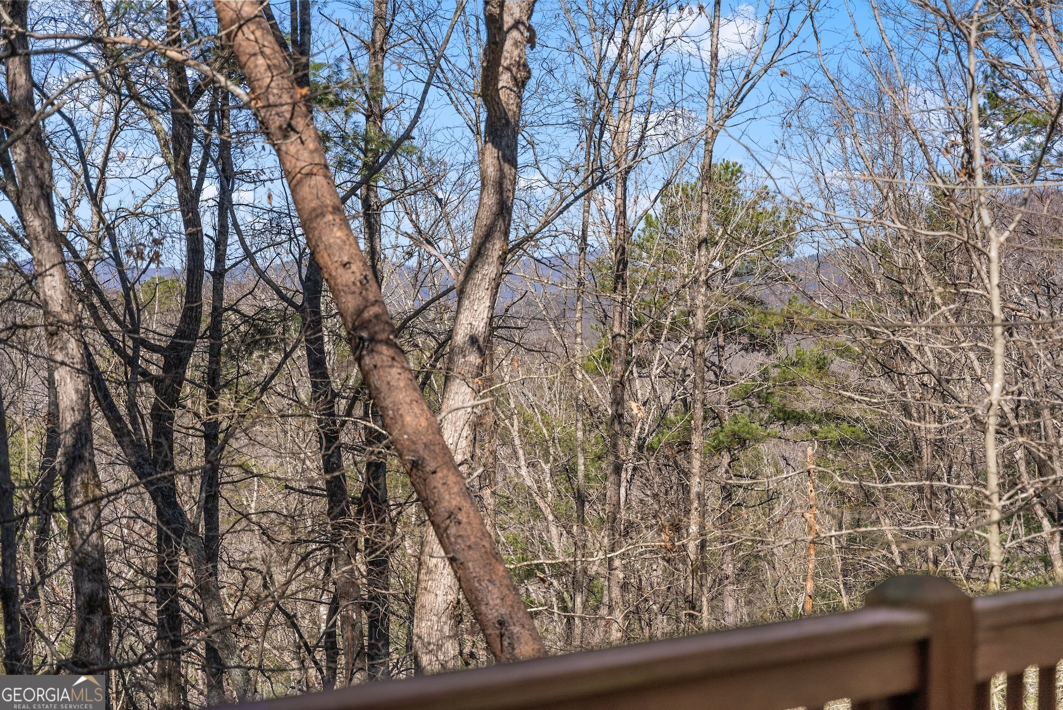 157 Beechwood Drive