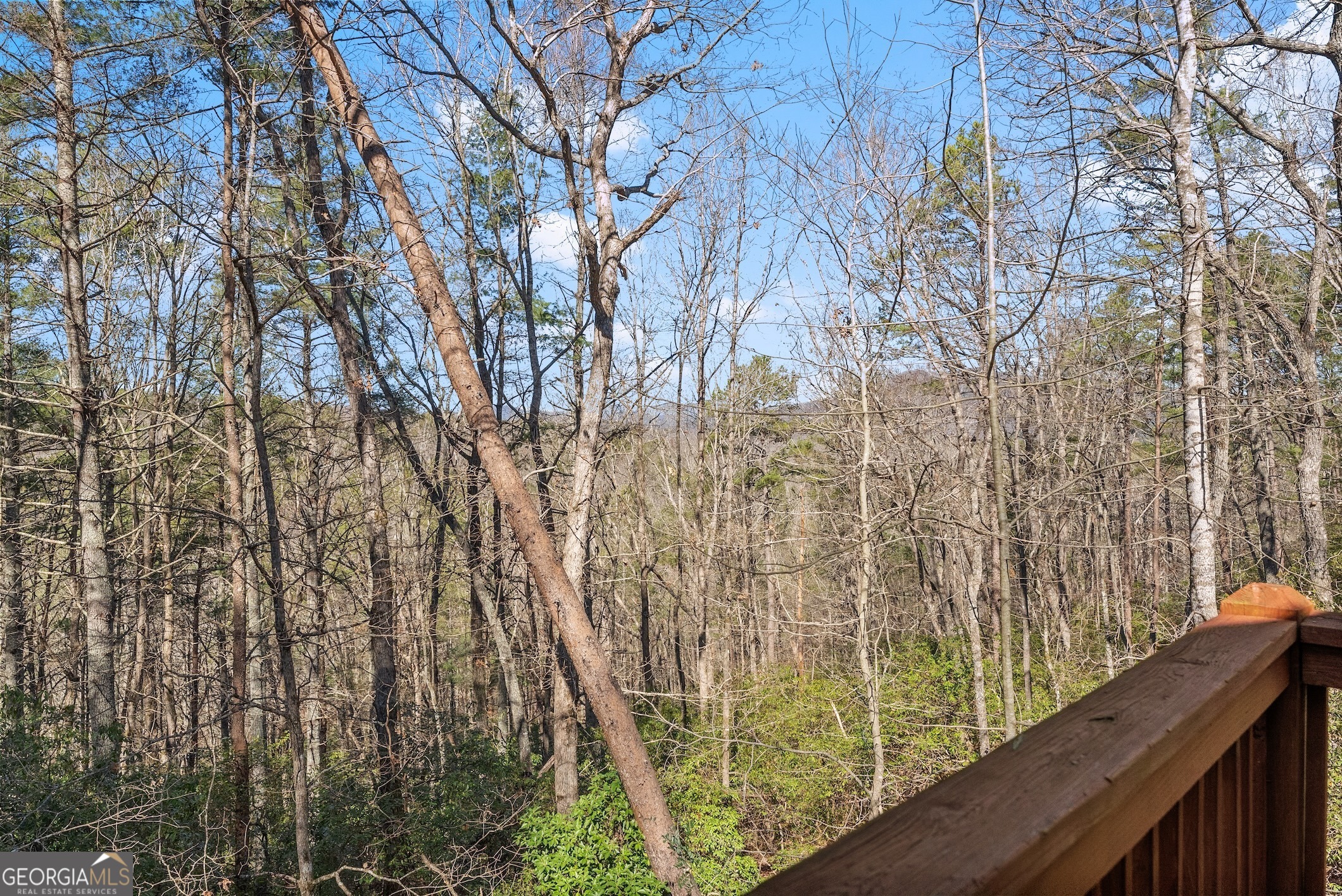 157 Beechwood Drive