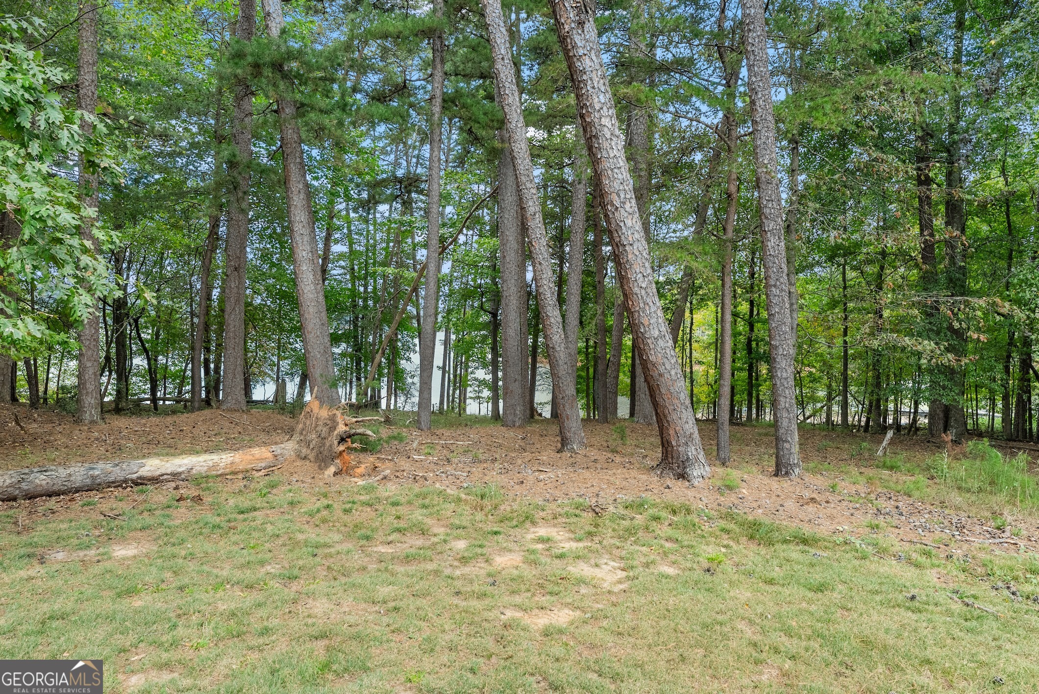 3464 Maynard Circle