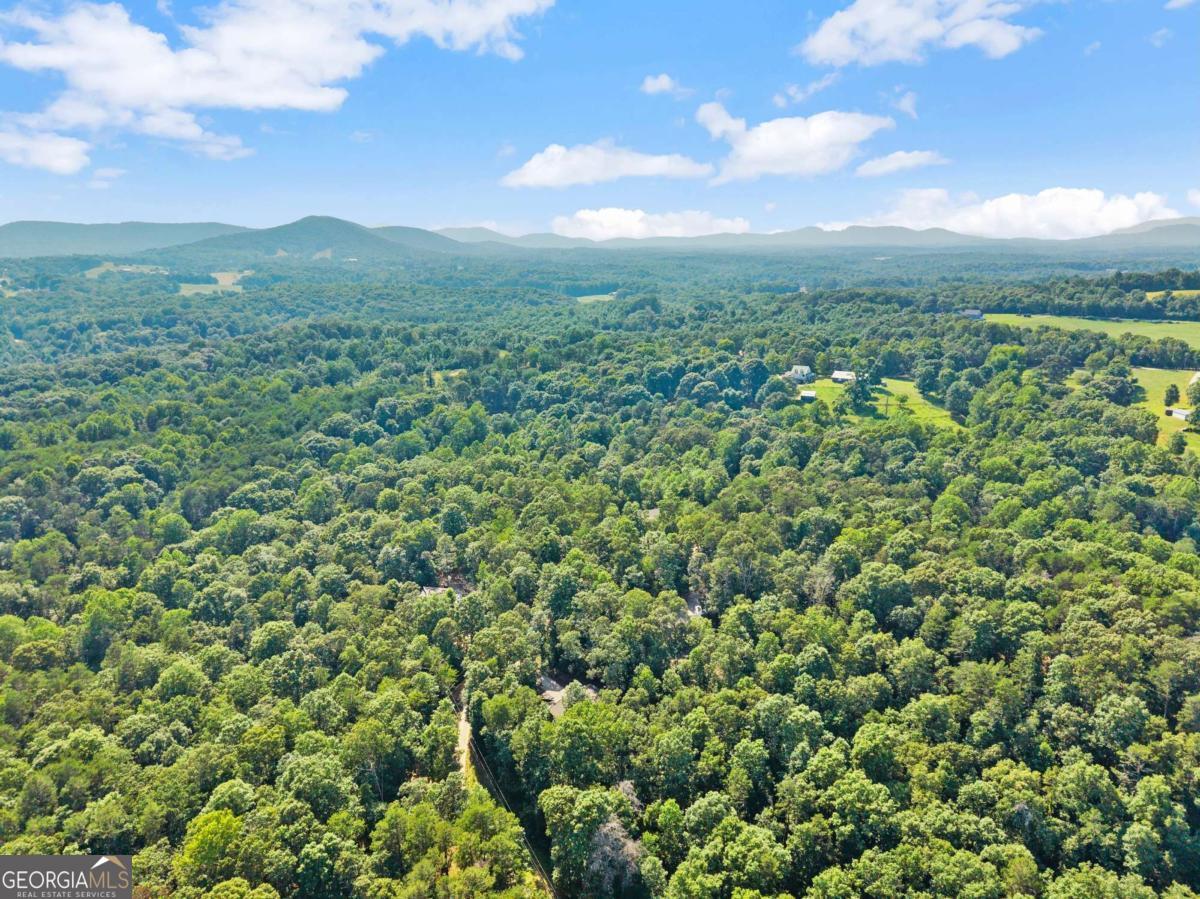 309 Fowler Creek Drive, Cleveland