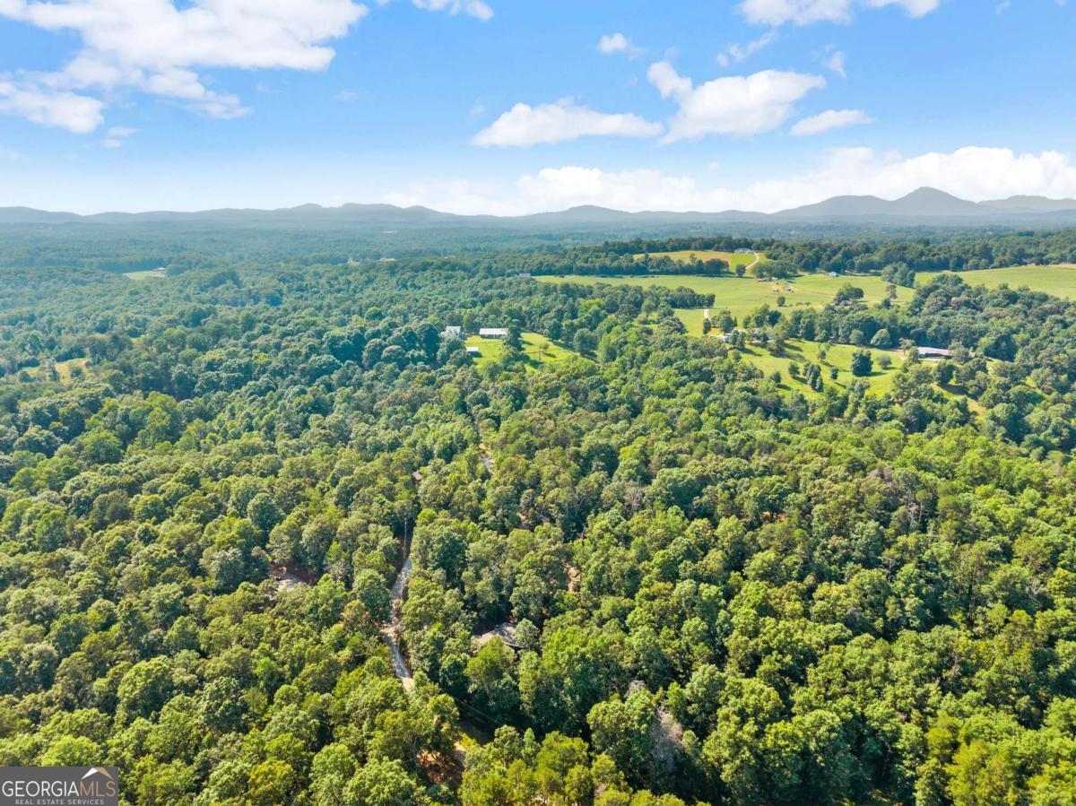 309 Fowler Creek Drive, Cleveland