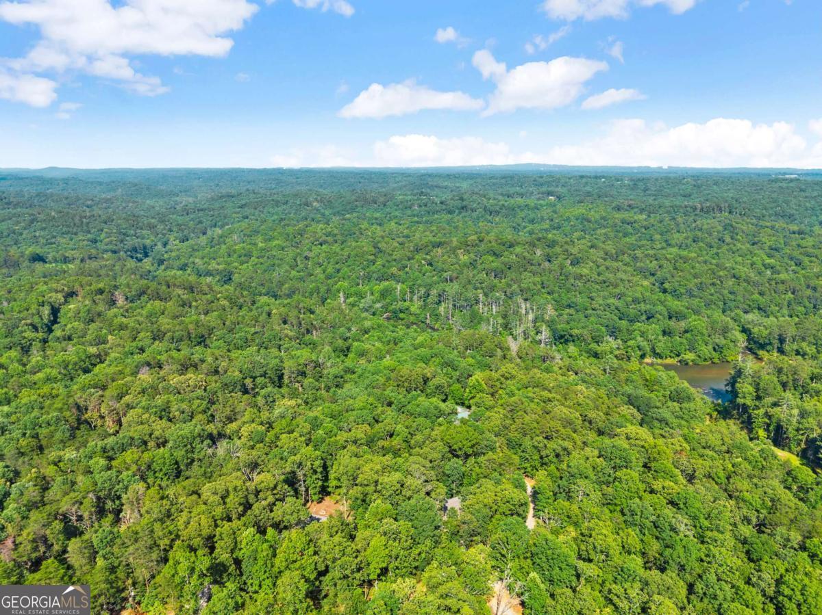 309 Fowler Creek Drive, Cleveland