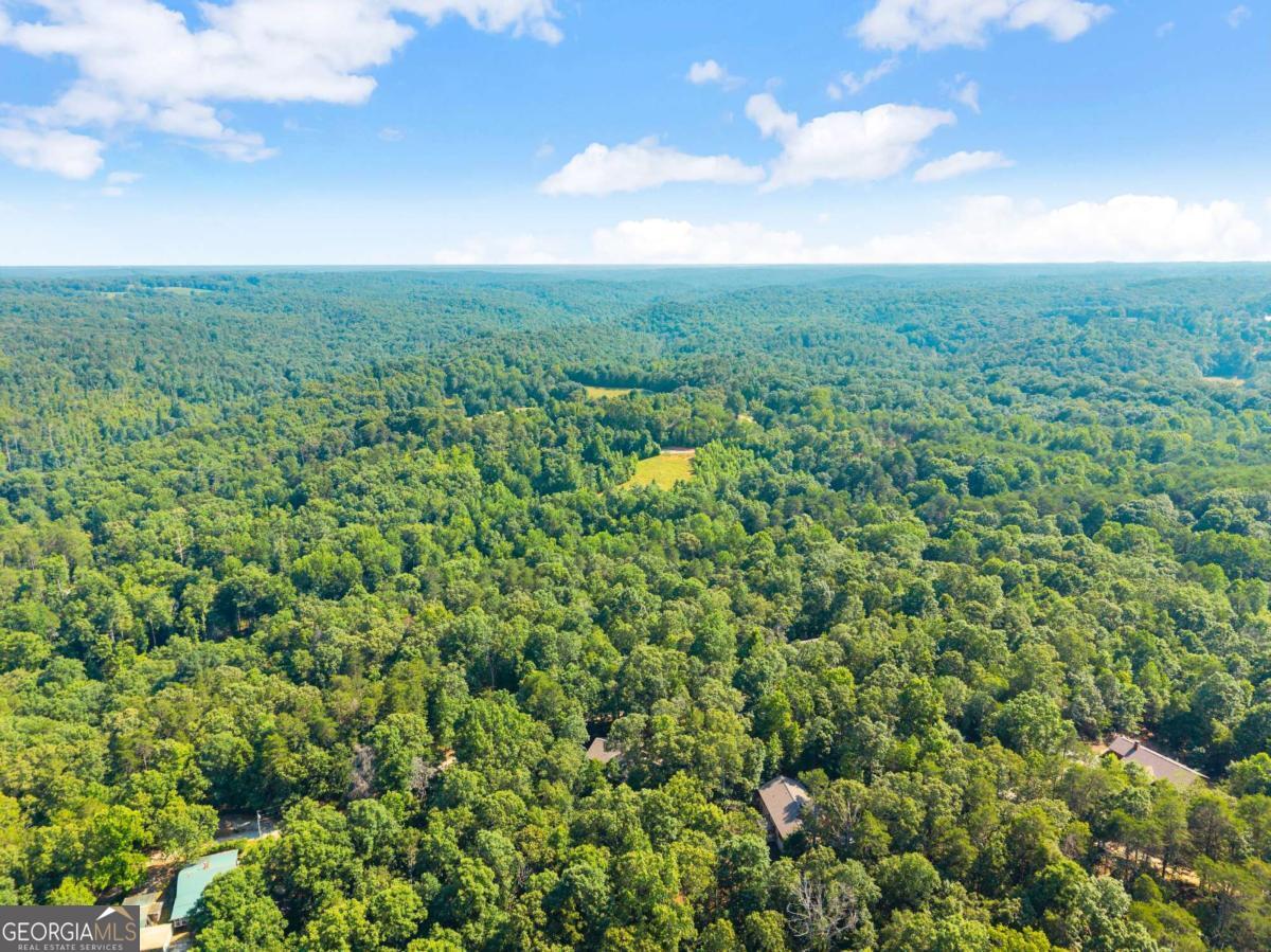 309 Fowler Creek Drive, Cleveland