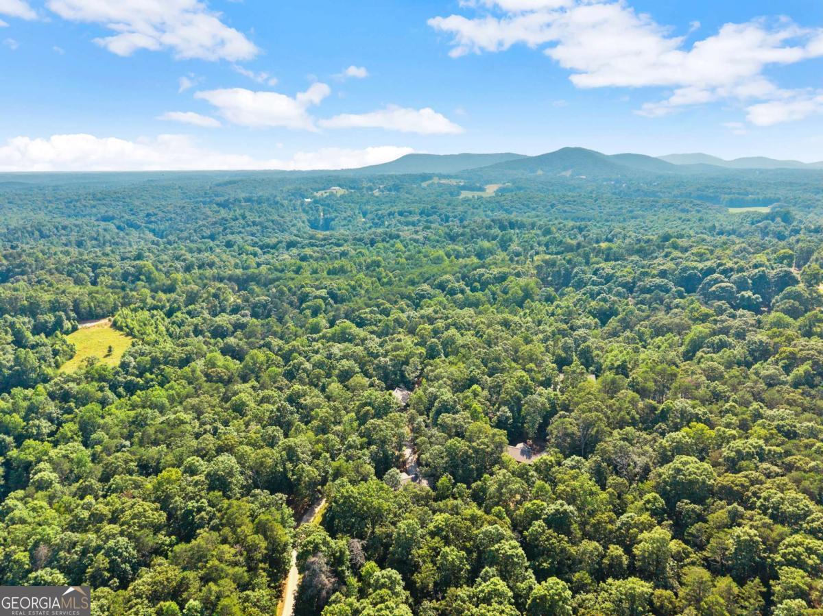 309 Fowler Creek Drive, Cleveland