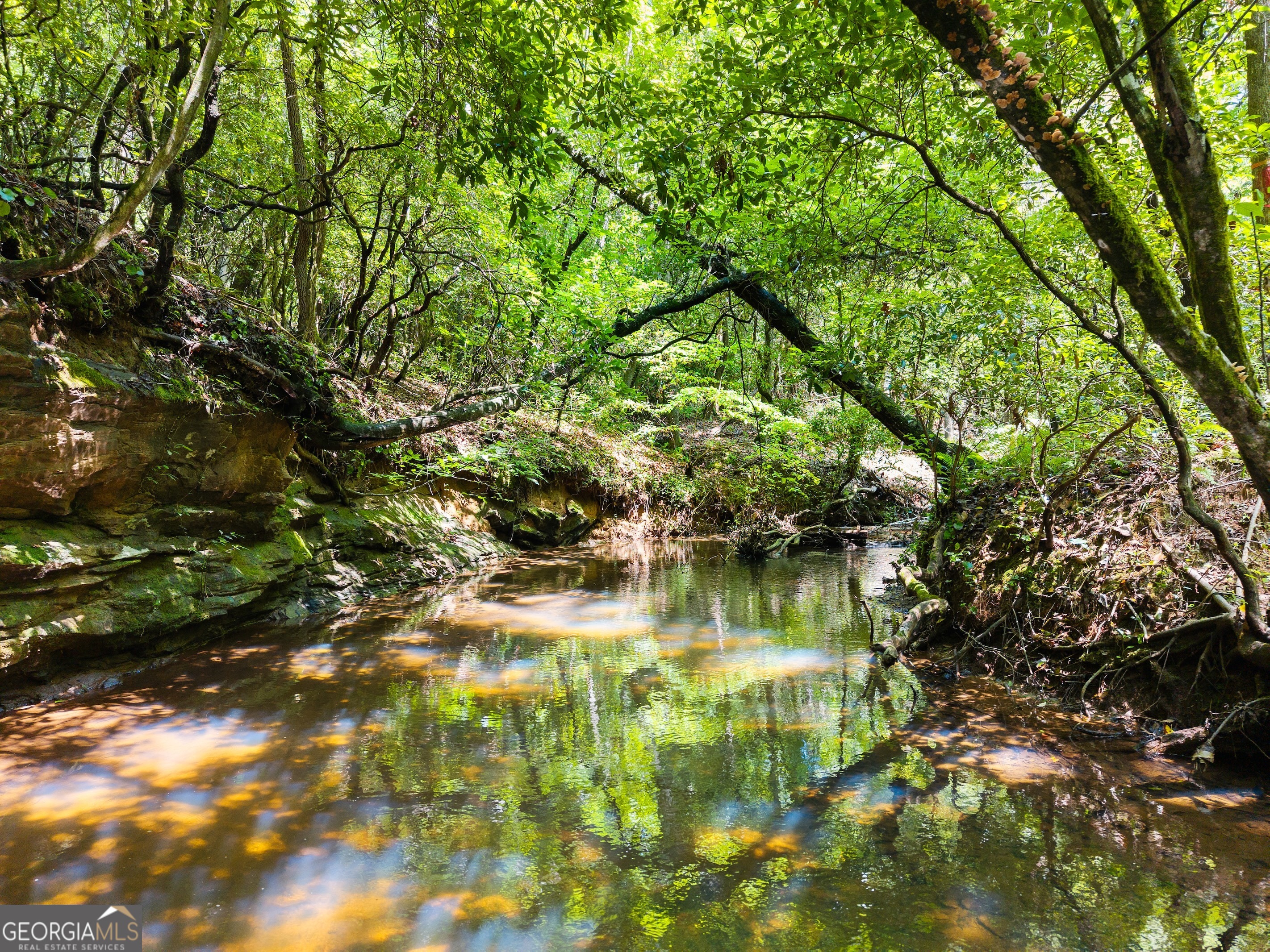 4A 0 Creekside Drive