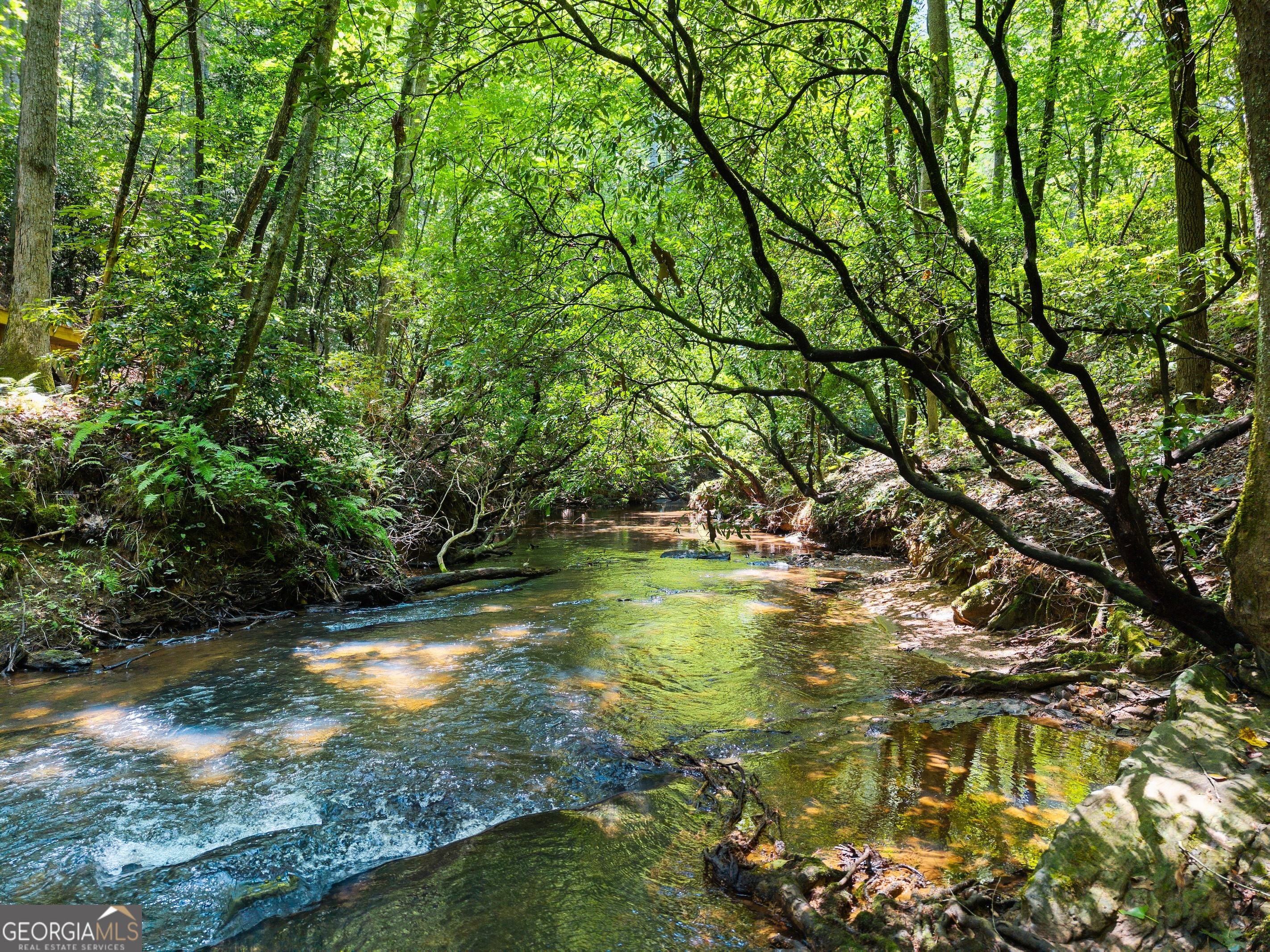 4A 0 Creekside Drive