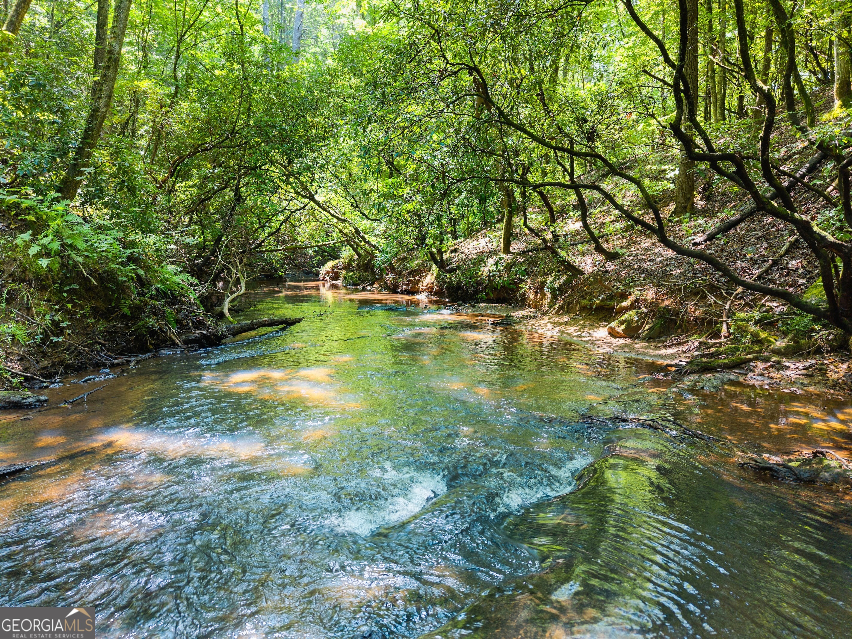 4A 0 Creekside Drive