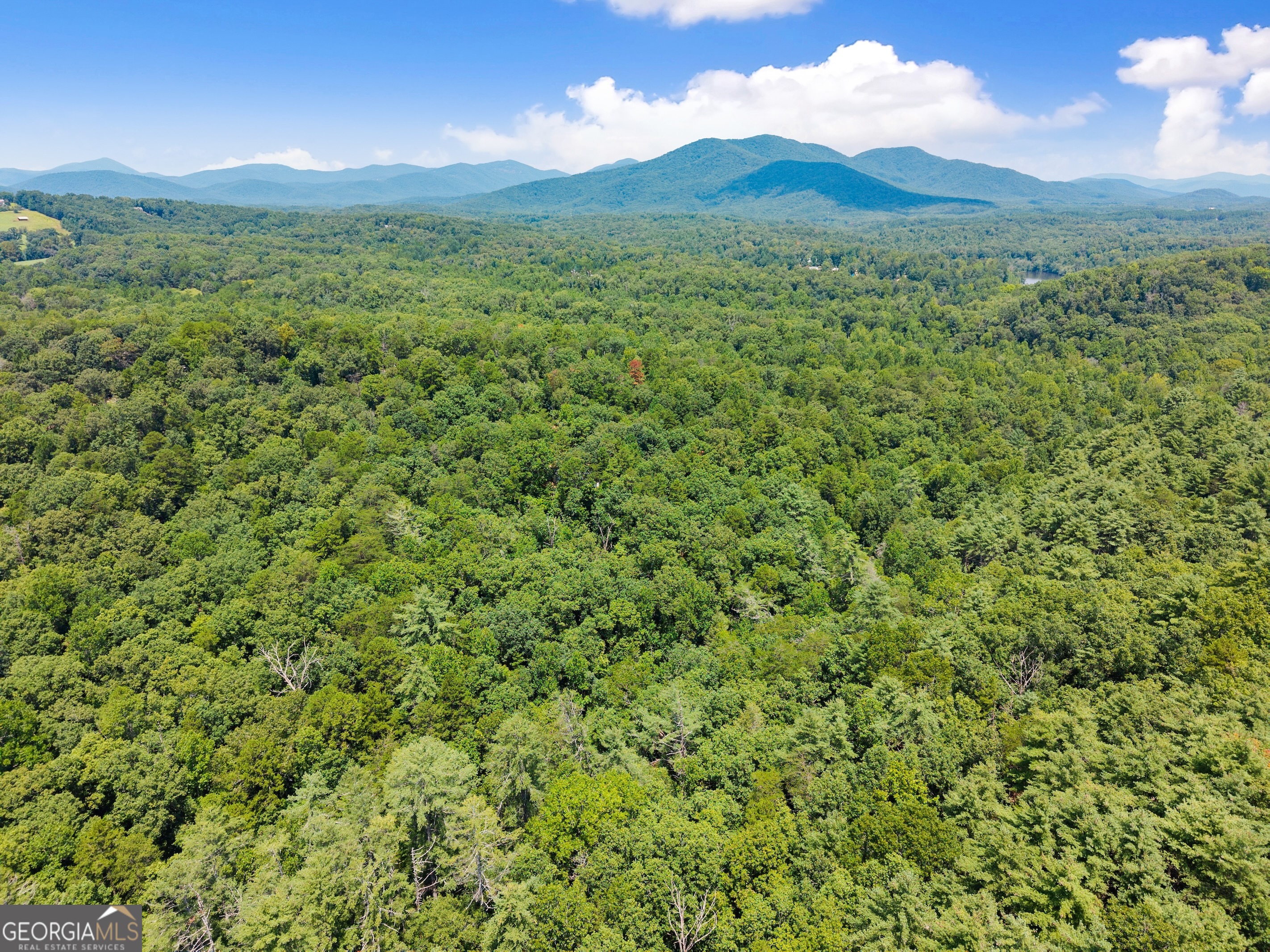 4A 0 Creekside Drive