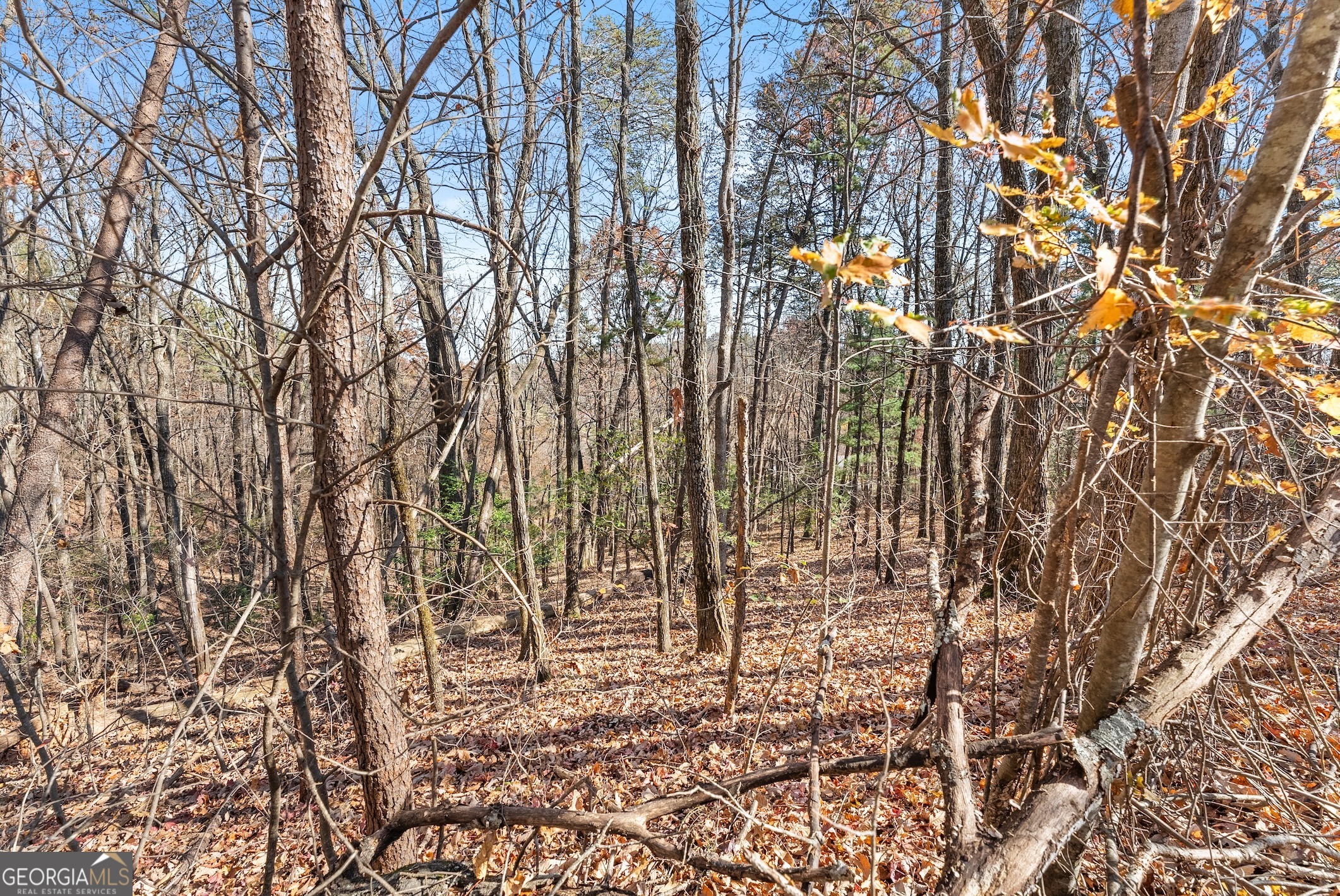 LOT 26 & 27 Spring Crest Road