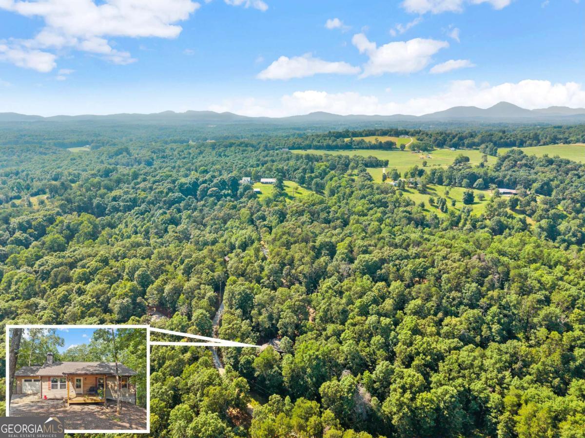 309 Fowler Creek Drive