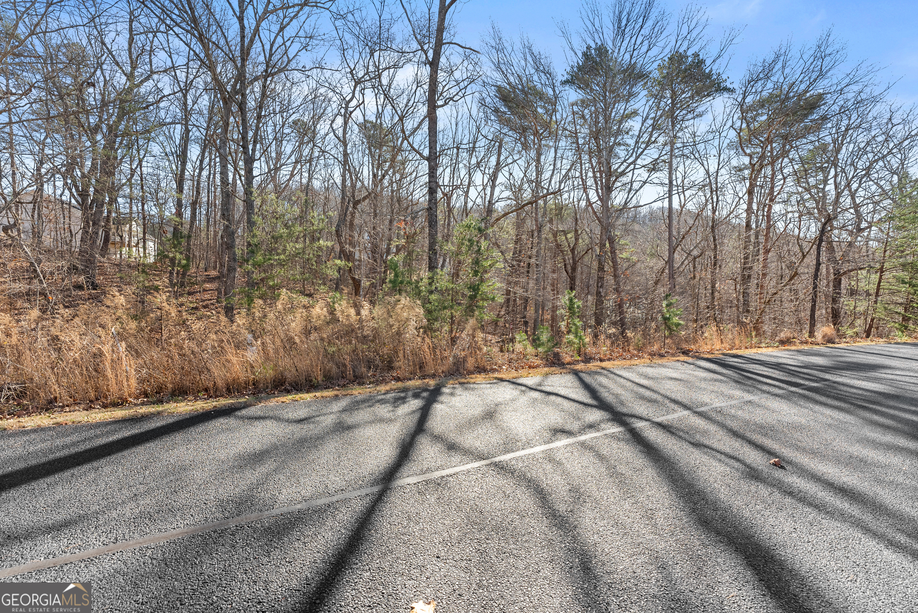 LOT 37 Teel Mountain Lane