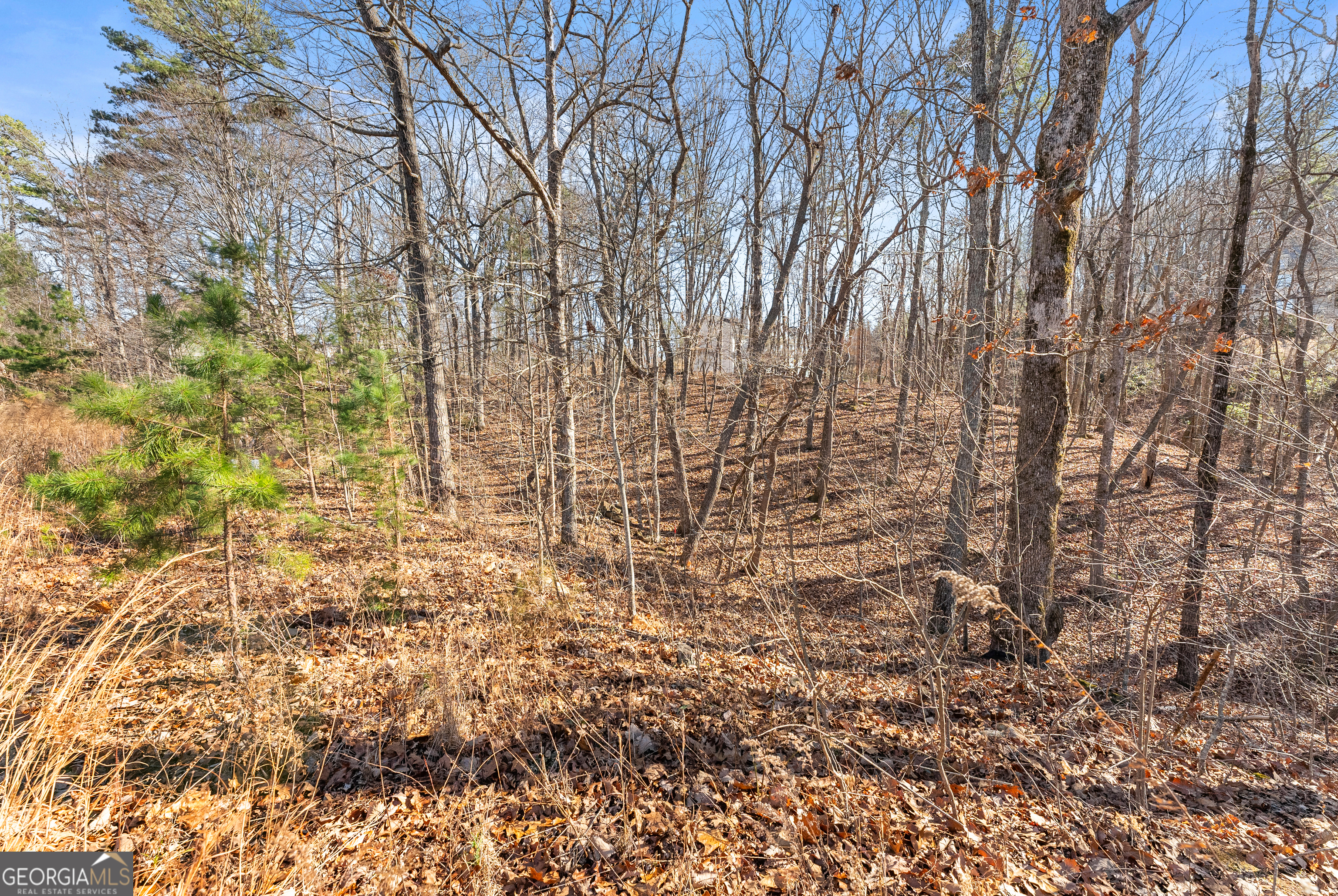 LOT 37 Teel Mountain Lane