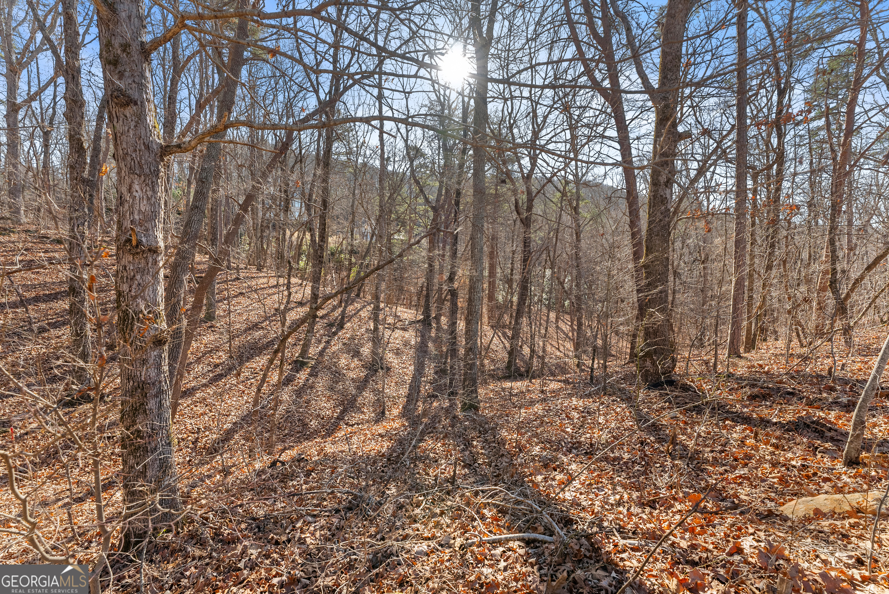 LOT 37 Teel Mountain Lane