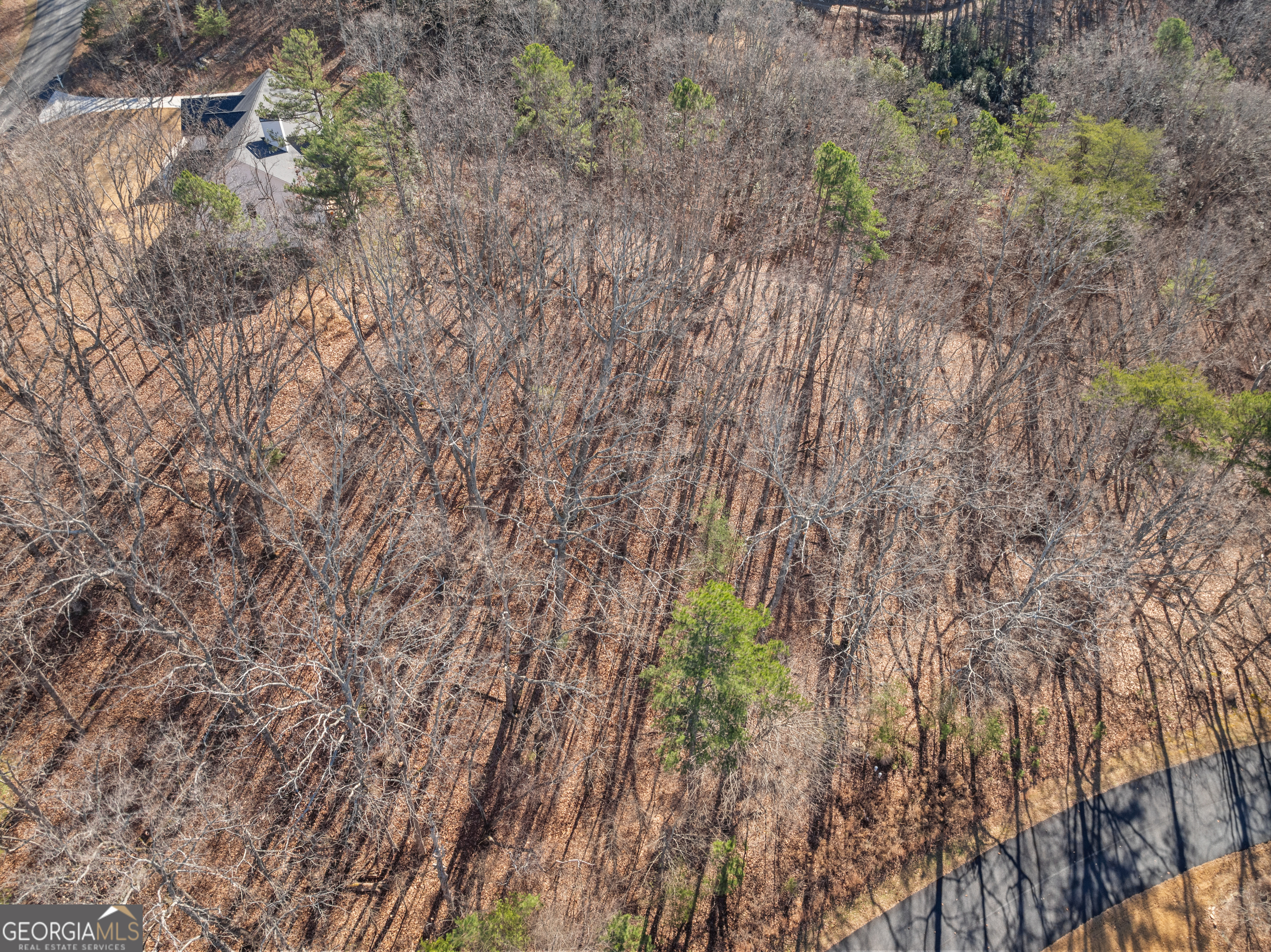 LOT 37 Teel Mountain Lane