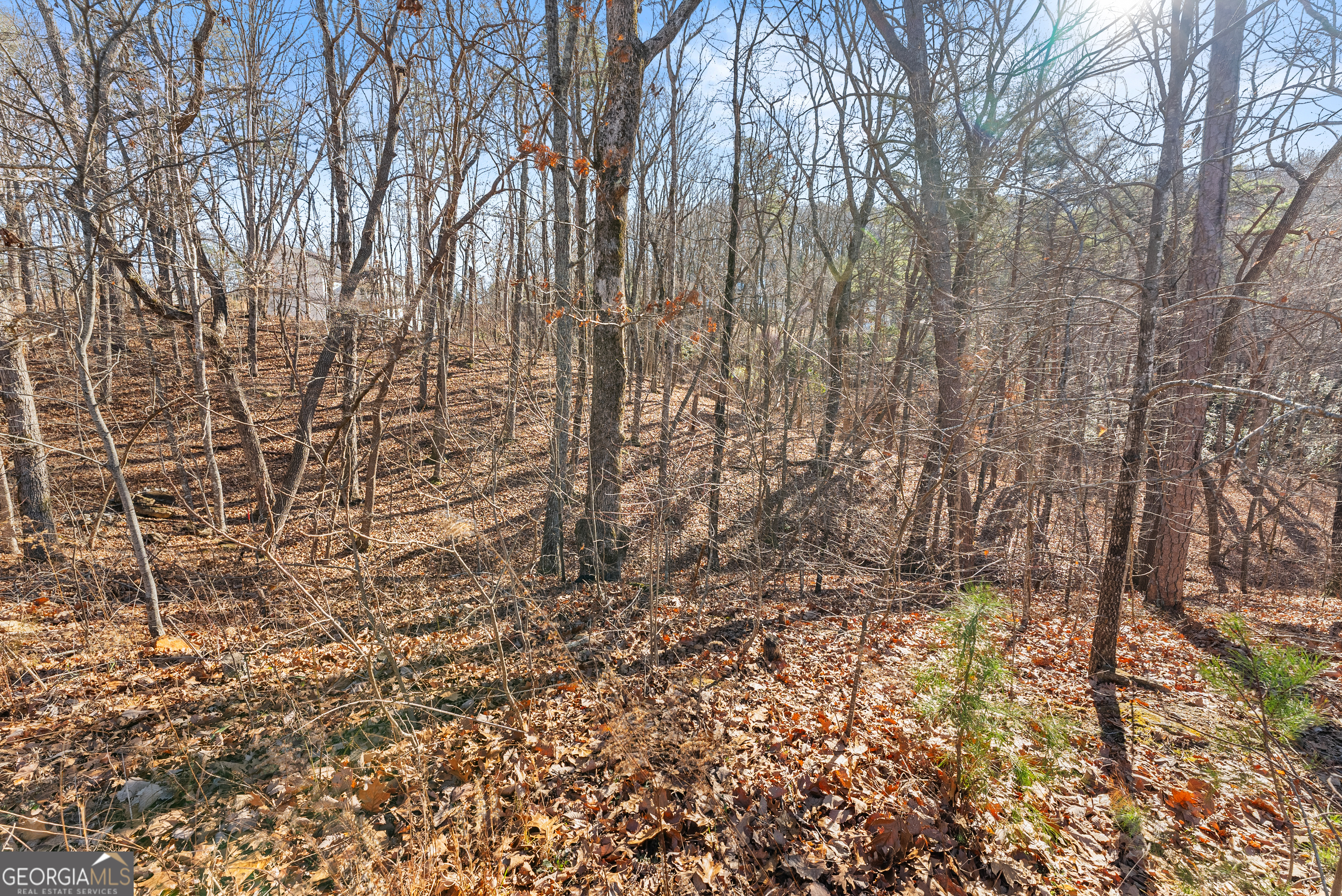 LOT 37 Teel Mountain Lane