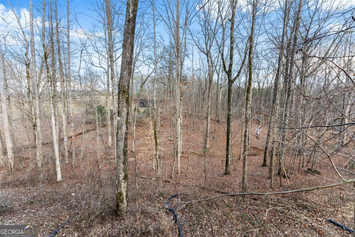 6019 Old Howser Mill Road