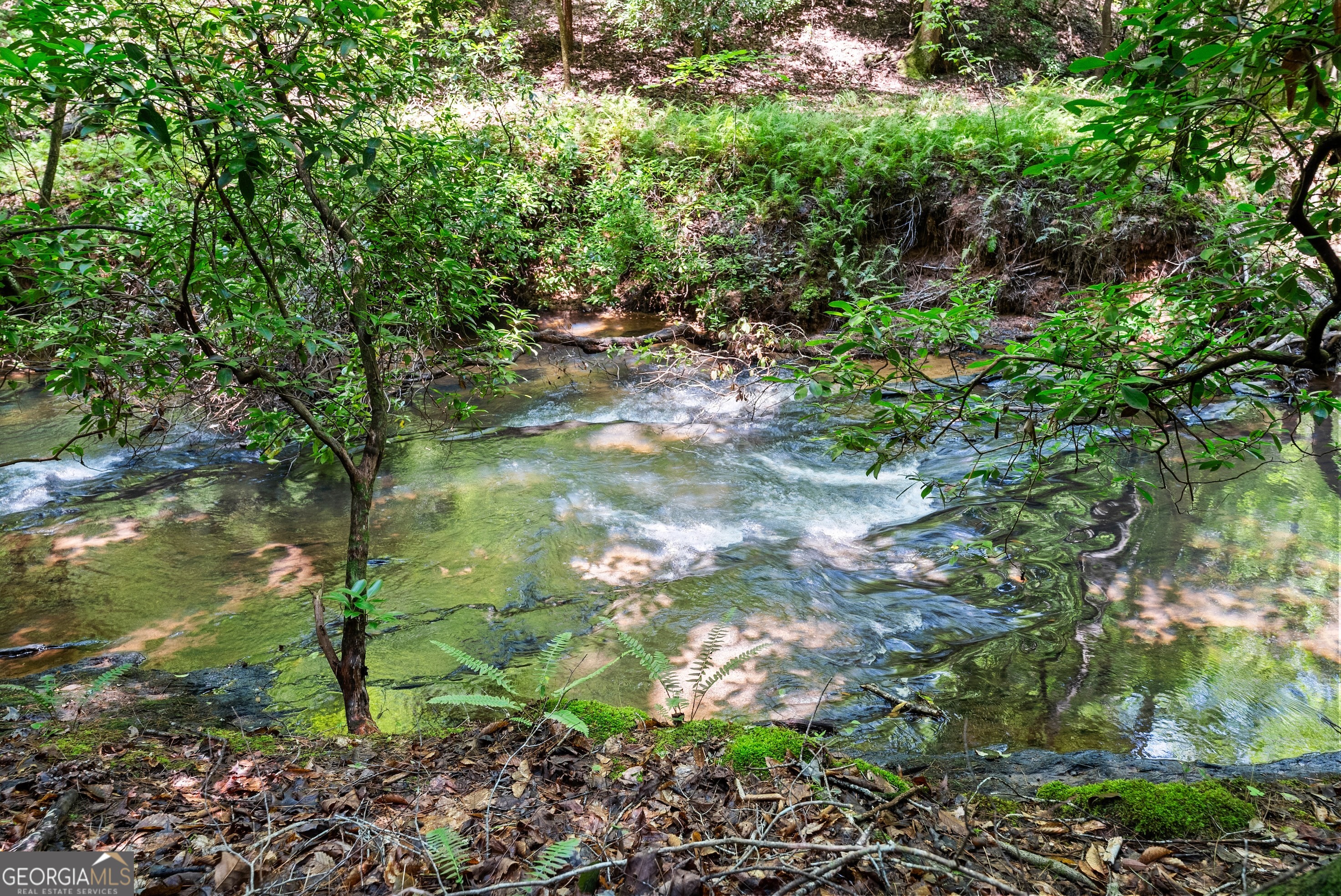 4A 0 Creekside Drive