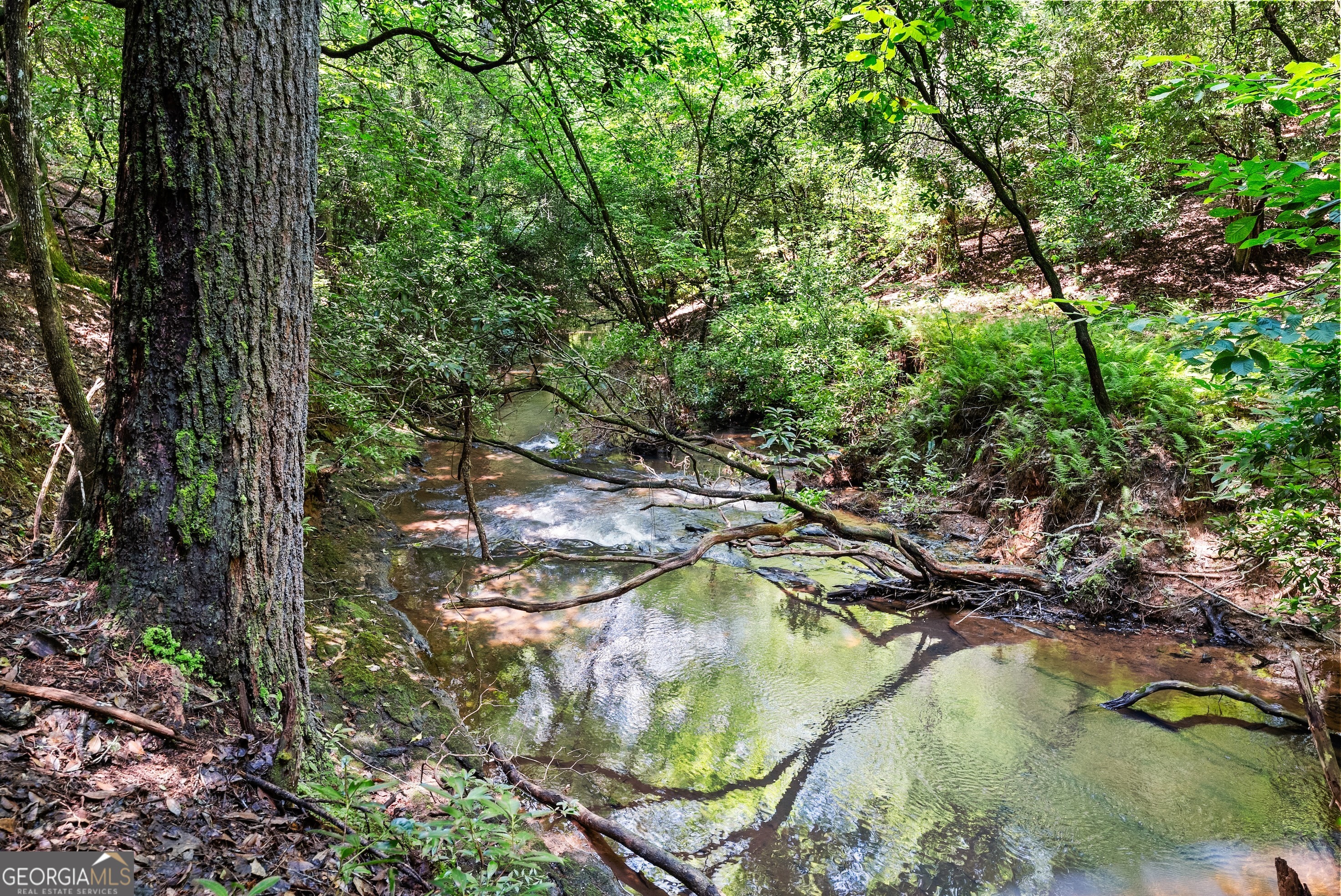 4A 0 Creekside Drive