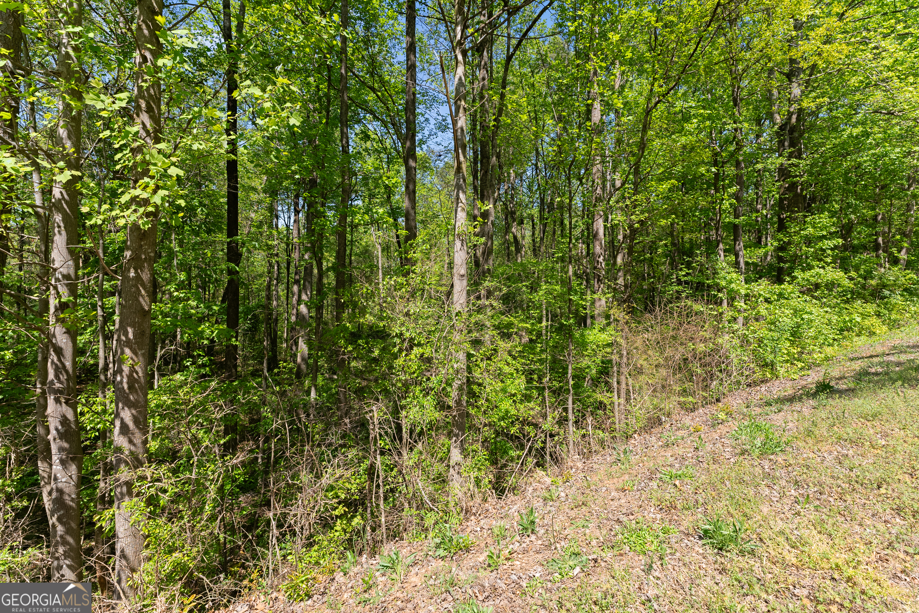 4346 Woods Bridge Road 