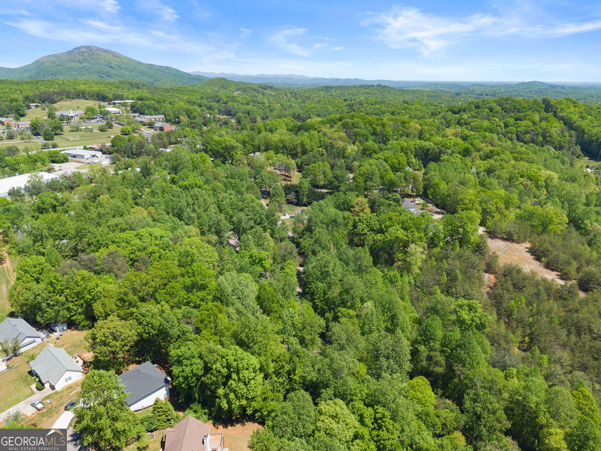 162 Greenview Court