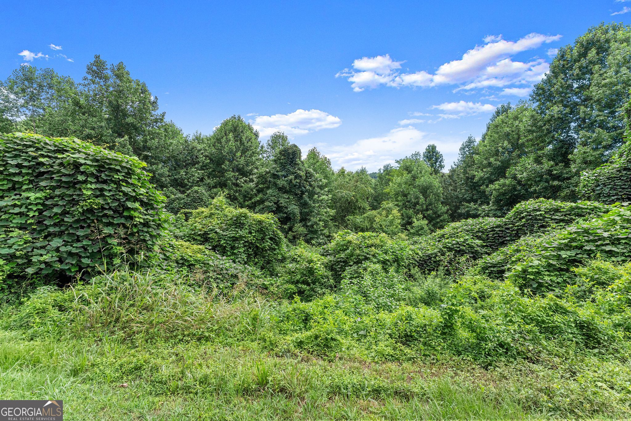 0 Meadow Crest Drive