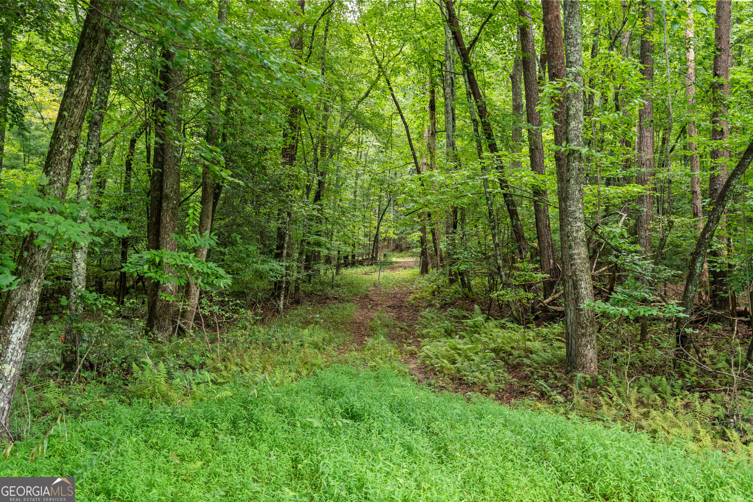 32 Raven Ridge