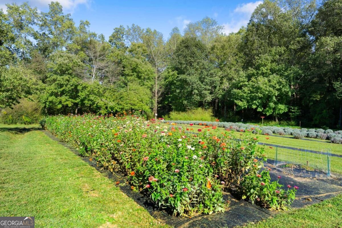 2882 Red Oak Flats Road