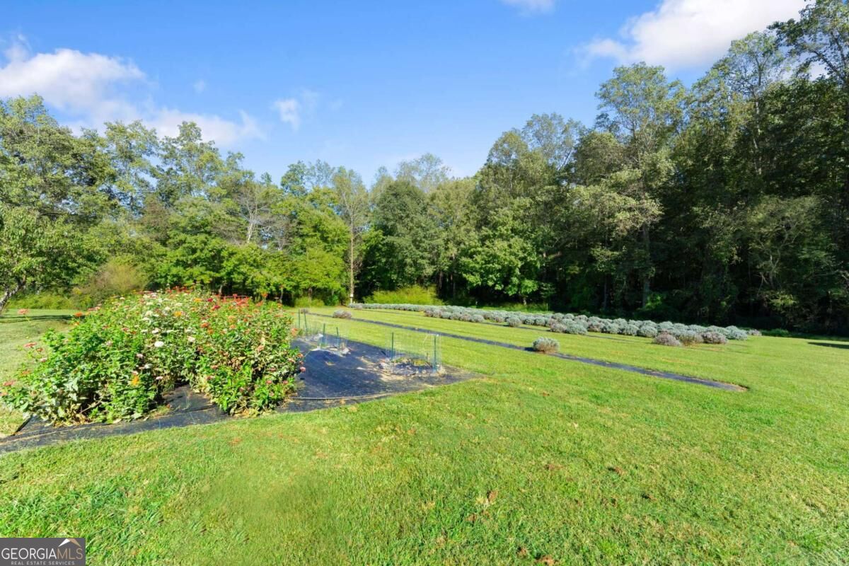 2882 Red Oak Flats Road