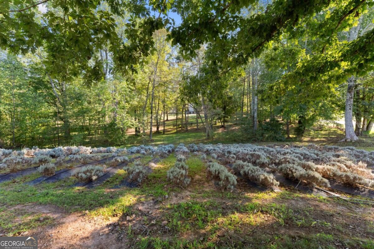2882 Red Oak Flats Road