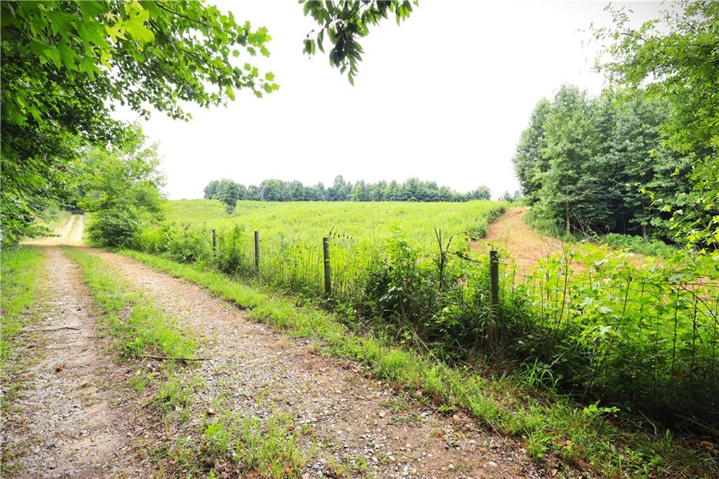 1512 Yonah Homer Road