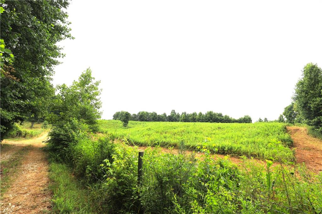 1512 Yonah Homer Road