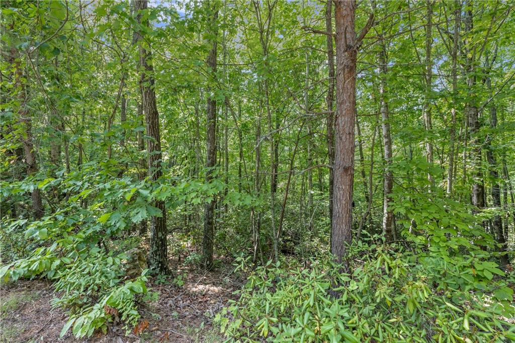 0 Heyden Ridge Drive