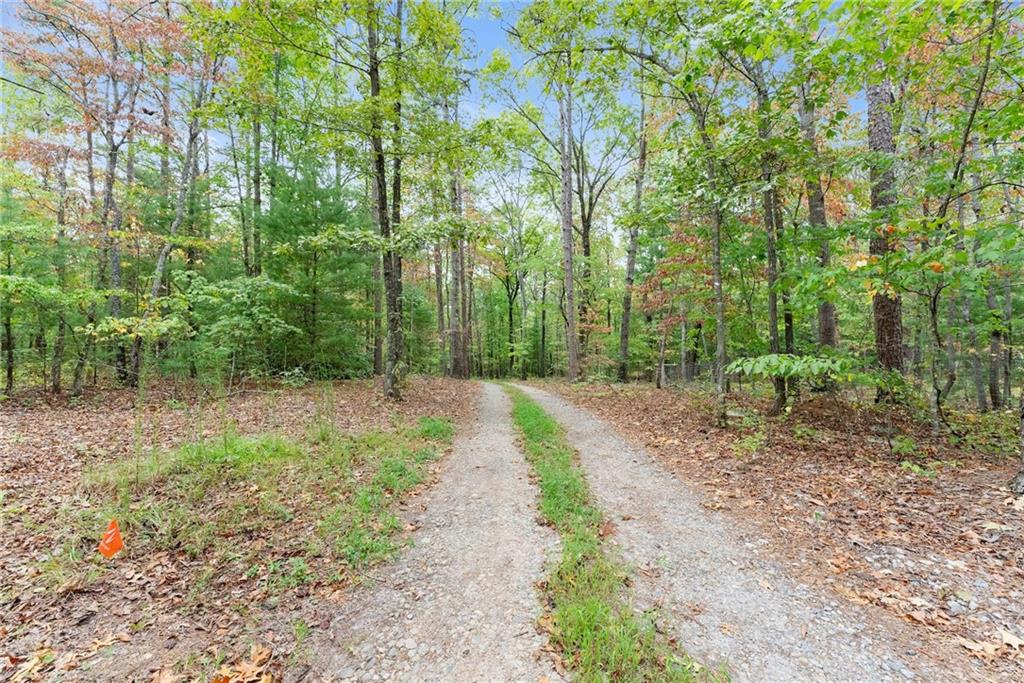 1321 Rider Road