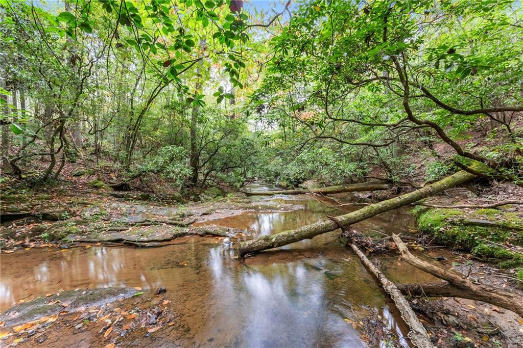 1321 Rider Road