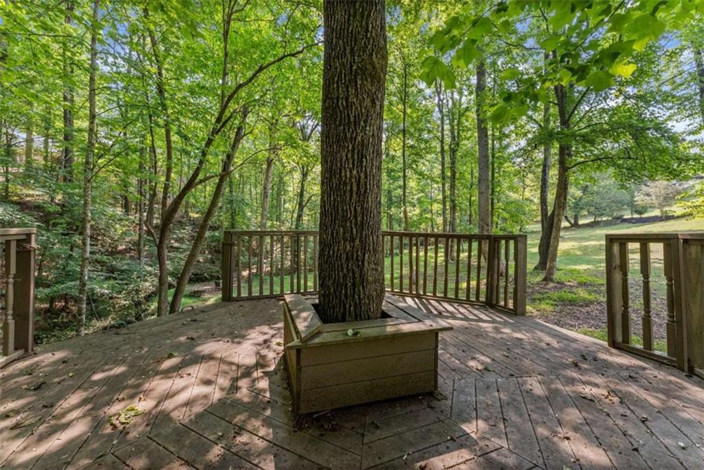 4514 Walking Stick Lane