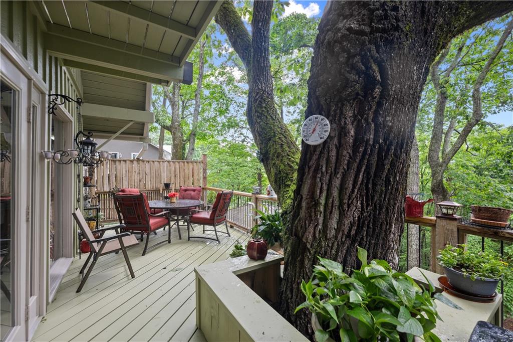 35 Lucerne Place
