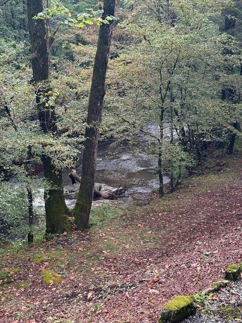 312 Kellum Valley Road