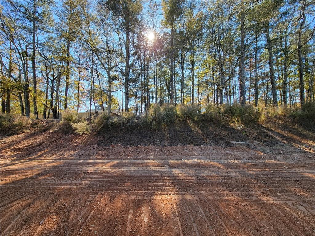 294 Silverleaf Trail