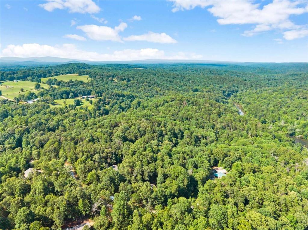 309 Fowler Creek Drive